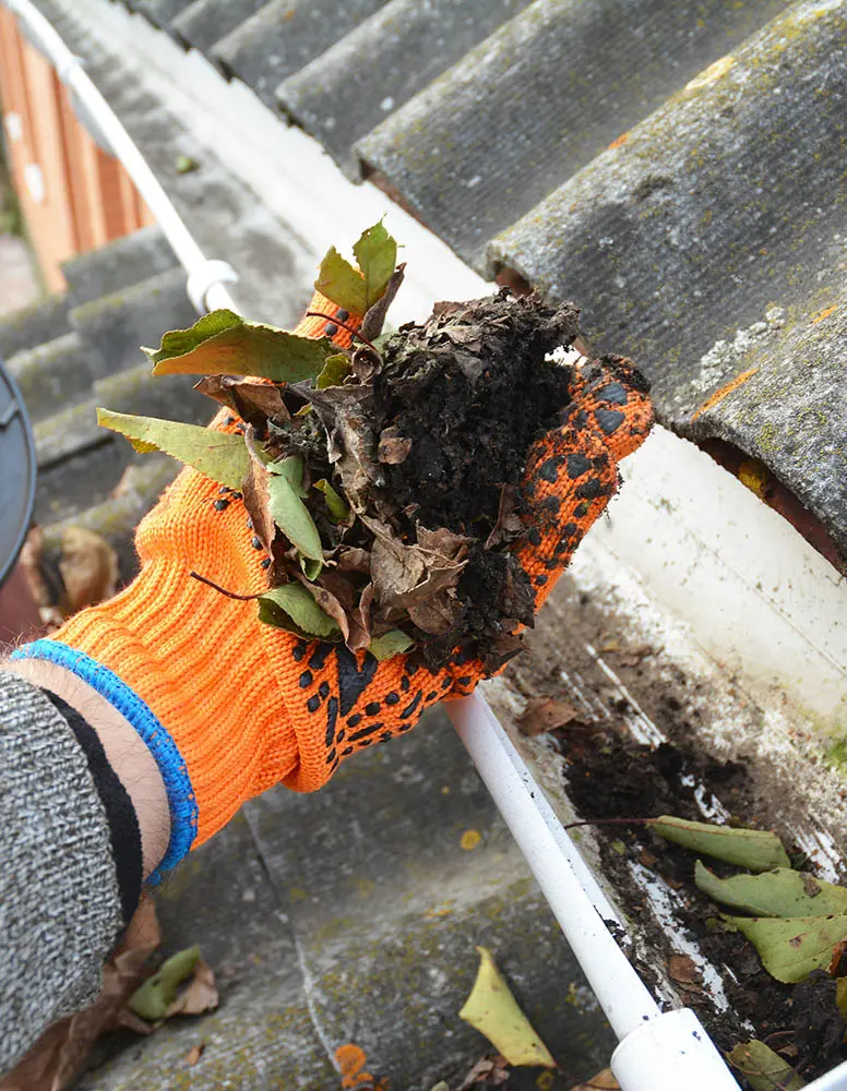 Gutter Cleaning
